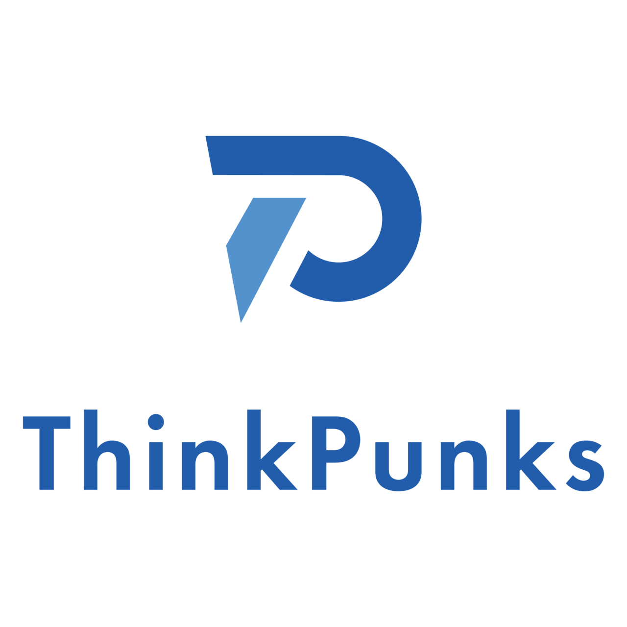 株式会社ThinkPunks