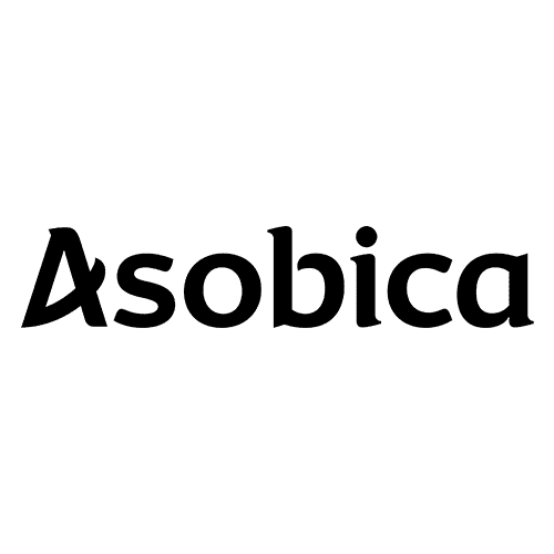 株式会社Asobica