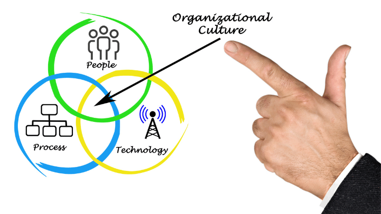 Organizational management